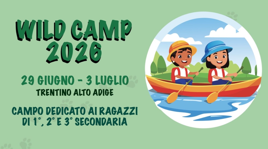 WILDCAMP26 rettangolo